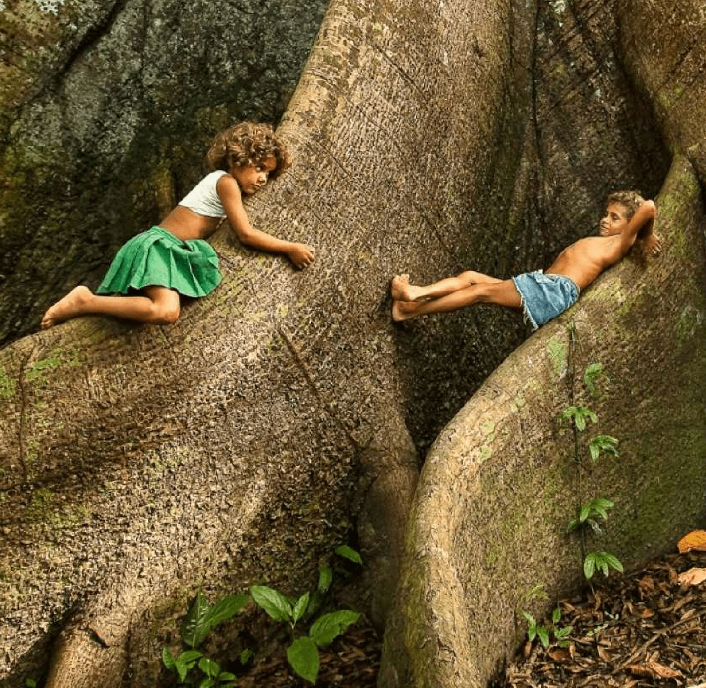 Dos niños jugando en las raíces de un árbol grande en el bosque.
